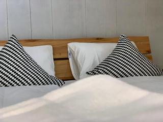 Brand New, 5min to Ski PARADISE ! - Grindelwald - 1