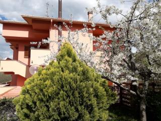 Notti Rosa B&B - Melfi - 2