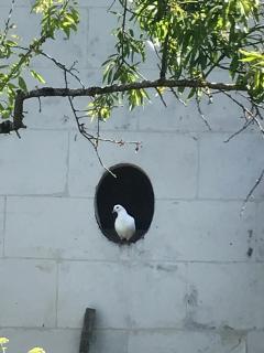 Le Clos Mademoiselle - 4