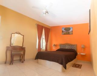 Hotel del Rio - Orizaba - 8