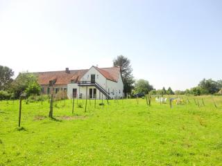 Ferme Lenfant Rez - Ville-Pommeroeul - 7