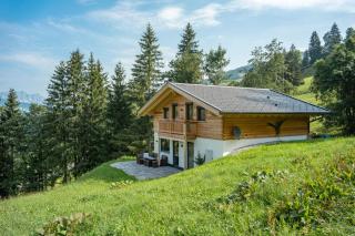 Chalet Alpenherz - Kirchberg in Tirol - 9