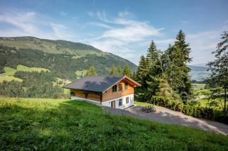 Chalet Alpenherz - Kirchberg in Tirol - 8