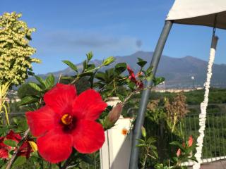 Palazzo Giovanni bed and breakfast - Acireale - 2