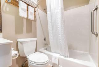 Quality Inn & Suites Bainbridge Island - Winslow - 7