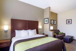 Comfort Inn Blackshear Hwy 84 - Blackshear - 9