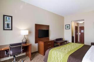Comfort Inn Blackshear Hwy 84 - Blackshear - 3