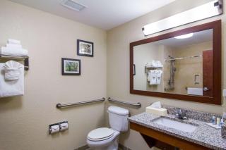 Comfort Inn Blackshear Hwy 84 - Blackshear - 4