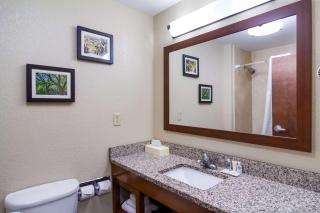 Comfort Inn Blackshear Hwy 84 - Blackshear - 7