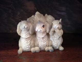 Squirrels Corner - Montagu - 5