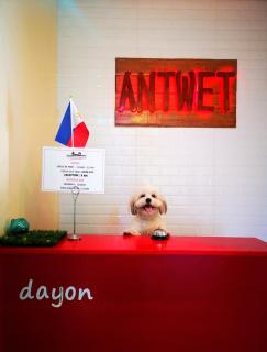 Antwet Backpacker's Inn & Rooftop Bar - Dumaguete - 0