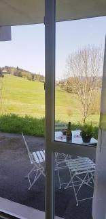 APPT 3* LE HAUT DES LACS - Xonrupt-Longemer - 3