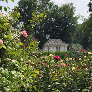 Het Witte Kasteel - Loon op Zand - 8