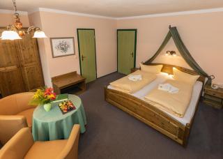 Waldgasthof & Hotel Am Sauwald - Tannenberg - 3