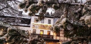 Waldgasthof & Hotel Am Sauwald - Tannenberg - 8