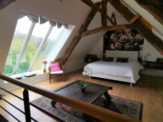 Domaine LVD avec SPA, bois et rivière privée - La Bloutière - 5