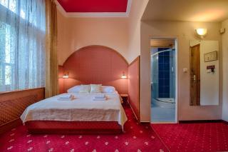Hotel Zlatý Orel - Ostravice - 7
