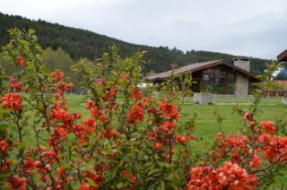 Gostnici Holiday Home - Razlog - 8