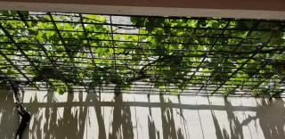 Hotel Caballito Blanco - Santa Fe - 2