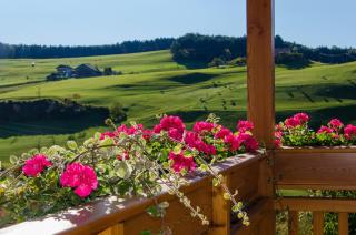 Appartments Geislerblick - Castelrotto - 9
