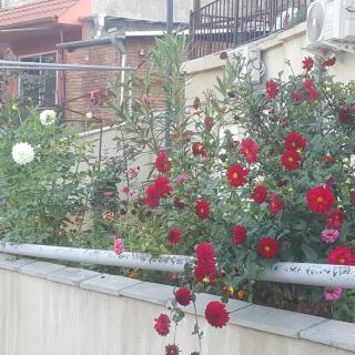 Apartment Panorama - Tbilisi - 1