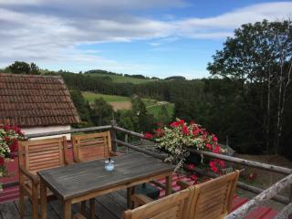 Haflingerhof Luef - Bad Schönau - 2