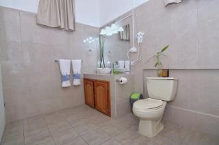 Rainforest Haven Inn - San Ignacio - 2