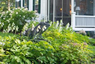 Village Inn - Yarmouth - 2