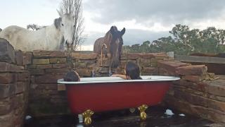 Baroona Cottage - 1