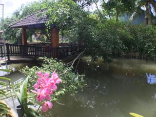 Thanh Thuy - Cu Chi - 5
