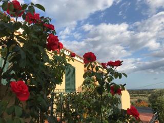 La Veduta - Bari Sardo - 3