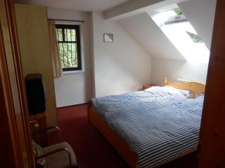 Luxe Appartement Hertvíkovice - Vlcice - 1