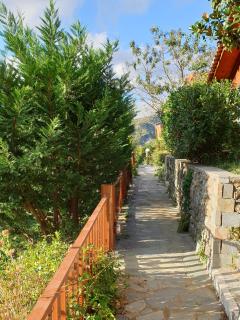 Alagonia Country Homes - 4