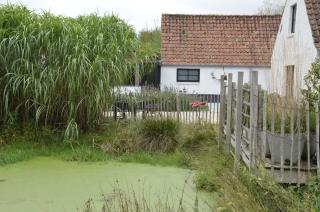 Stee 23 - Hertsberge - 8