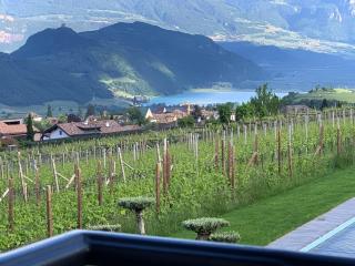 Emily Elisa Traum Ferienwohnung mit atemberaubenden Seeblick - Caldaro - 8