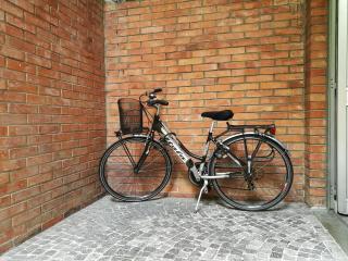 I Cedri - Udine - 4