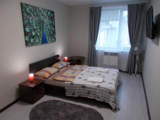 Apartment near the Forum mall 2 - Lviv - 3