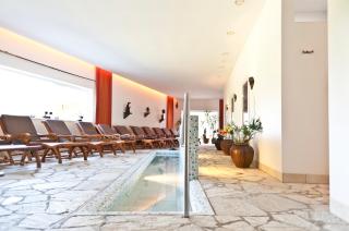 Hotel Alpenkrone - Filzmoos - 8