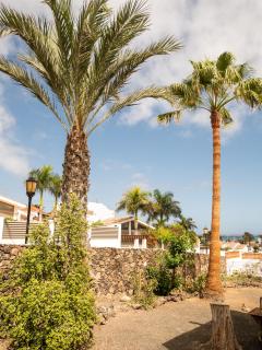 Monte Rojo - Corralejo - 8