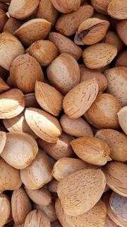 Despertar en Riglos - 4