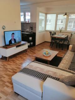 Apartman EDEN No 1 - Teslić - 3