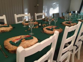 Rosy Garden in the winter - Lichtervelde - 9