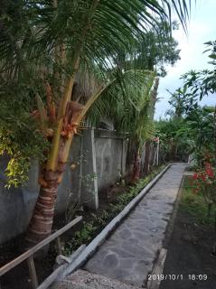 Turtle Garden Hotel - Gili Air - 3