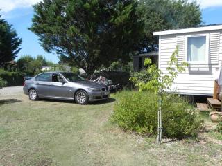 Mobil Home dans camping Lattes - Lattes - 5