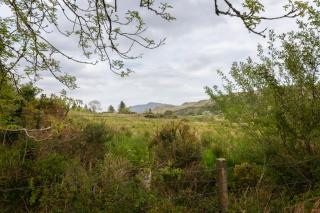 Bay View House - Kenmare - 4