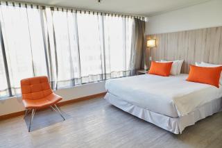Hotel Terrado Providencia - Santiago - 8