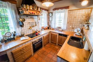 Authentic Countryside Villa with Hot tub - Veliki Kamen - 4
