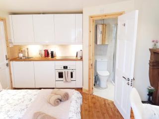 Pretty Maida Vale Apartments - London - 4