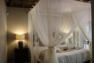 Luvivane Luxury Villa - Marloth Park - 3