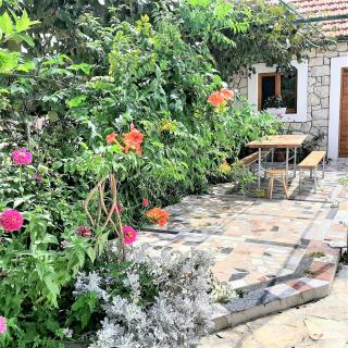 Apartments"Nika" with private pool - Galovac - 2